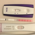 View Gallery Image #11