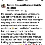 View Gallery Image #5