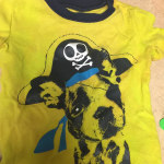 View Gallery Image #12