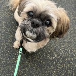 View Gallery Image #11