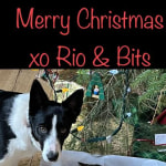 View Gallery Image #2