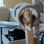 View Gallery Image #6