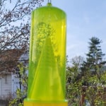 Rescue Reusable Yellow Jacket Trap - Grabill Hardware