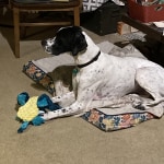 View Gallery Image #7