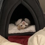 View Gallery Image #1