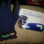 Bissell pet hair eraser grooming gloves top