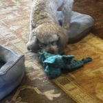 View Gallery Image #3