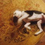 View Gallery Image #9