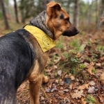 View Gallery Image #8