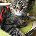 View Gallery Image #2