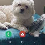 View Gallery Image #14