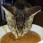 View Gallery Image #14