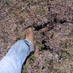 View Gallery Image #9