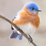 View Gallery Image #6