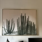 Organ Pipe Cactus Framed Canvas Wall Art - World Market