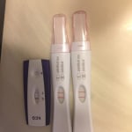 View Gallery Image #13