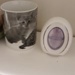 View Gallery Image #6