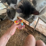 View Gallery Image #5