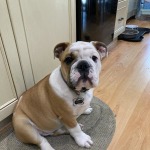 View Gallery Image #5