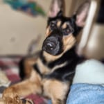 View Gallery Image #7