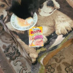 View Gallery Image #7