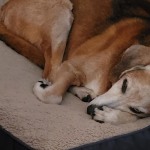 View Gallery Image #2