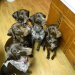 View Gallery Image #11