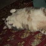 View Gallery Image #4