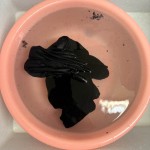 View Gallery Image #5