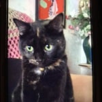 View Gallery Image #6