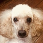 View Gallery Image #6