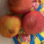 Case – Organic Gala Apples – 12 x 2lb Bags – Farm Fresh Carolinas
