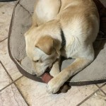 View Gallery Image #3