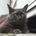 View Gallery Image #10