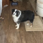 View Gallery Image #1