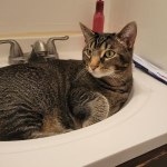 View Gallery Image #12