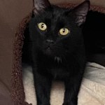 View Gallery Image #10