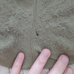 View Gallery Image #4