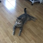 View Gallery Image #2