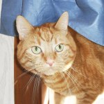 View Gallery Image #2