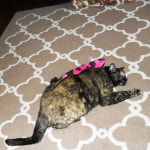 View Gallery Image #3