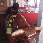 View Gallery Image #11