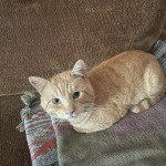 View Gallery Image #8