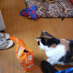 View Gallery Image #5