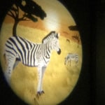 View Gallery Image #7