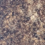 View Gallery Image #4