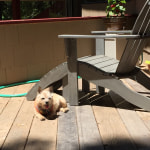 World market adirondack new arrivals footstool