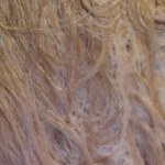 View Gallery Image #7