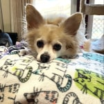 View Gallery Image #5