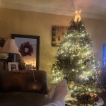 View Gallery Image #3